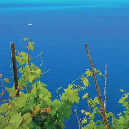 Beautiful In With Kitchen Trstenik (Dubrovnik-Neretva)