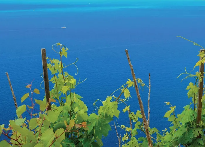 Beautiful In With Kitchen トルステニク